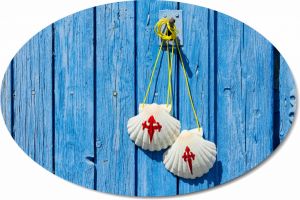 Z Żabianki via Porto do Santiago de Compostela
